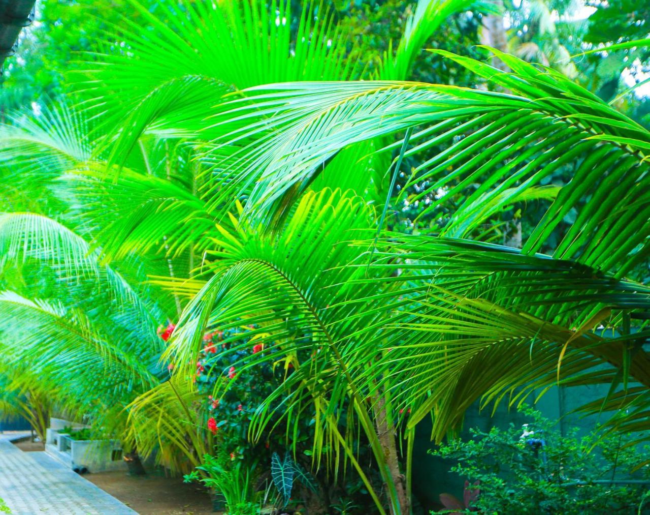 Sri Lankan Villa Elagawagoda Exterior foto